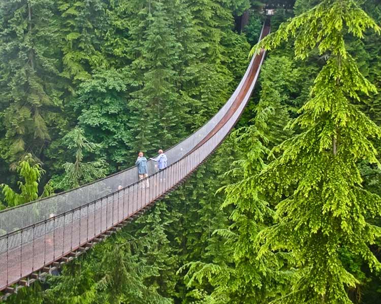 Capilano-Suspension-Bridge