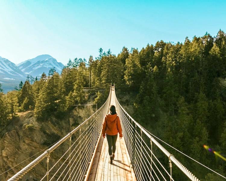 Suspension-Bridge-1