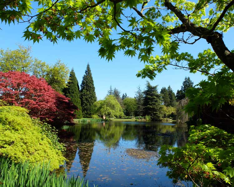 VanDusen-Botanical-Garden