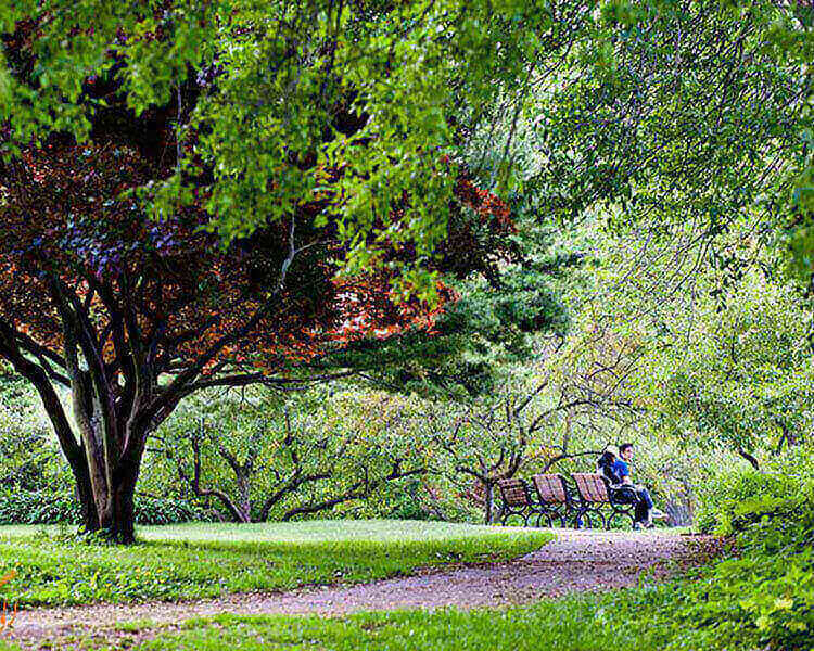 Beautiful hiking trails around Toronto to