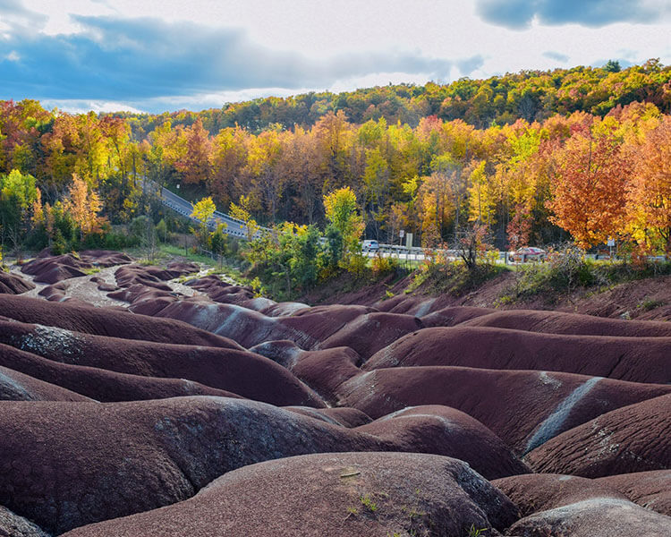 Cheltenham-Badlands