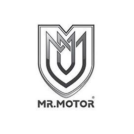 Mr. Motor