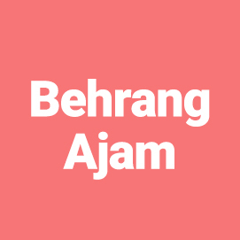 Behrang Ajam