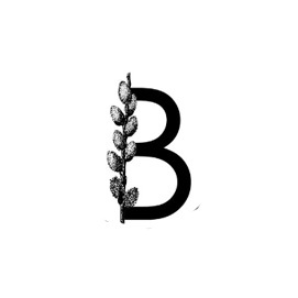 Bidmeshk Events