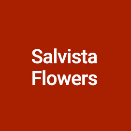 Salvista Flowers