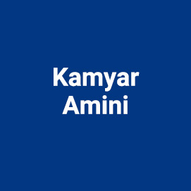 Kamyar Amini
