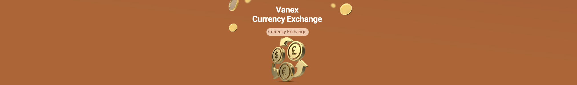Vanex Currency Exchange
