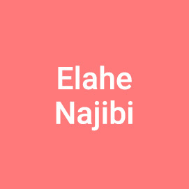 Elahe Najibi