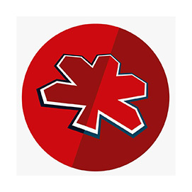 Kashfi Immigration Consulting