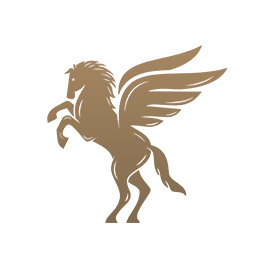 Arash Heydari Memari