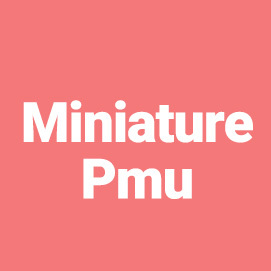 Miniature Pmu (Lili)