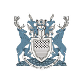 Canadian Board Of Cosmetic Surgery