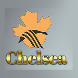 Chelsea Immigration Group