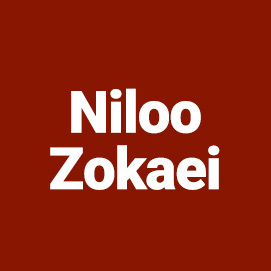 Niloo Zokaei